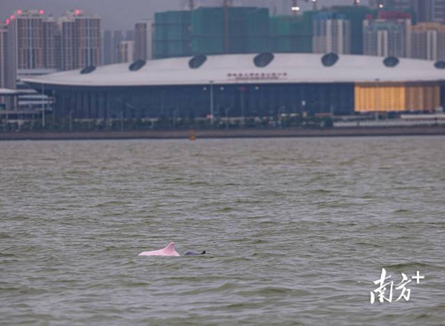 南方+ 石磊 拍攝