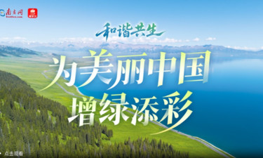 和谐共生｜为美丽中国增绿添彩