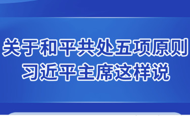 新华社权威速览 | 关于和平共处五项原则，习近平主席这样说