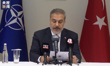 土耳其仍未同意瑞典加入北约