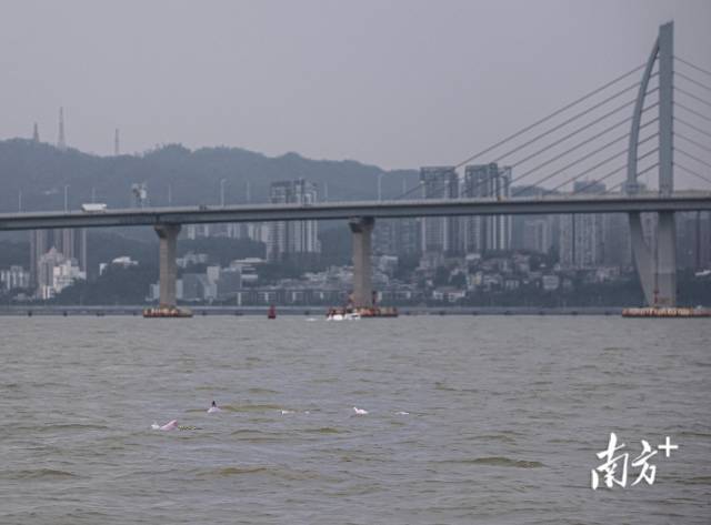 南方+ 石磊 拍攝