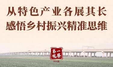 第一观察｜从特色产业各展其长感悟乡村振兴精准思维