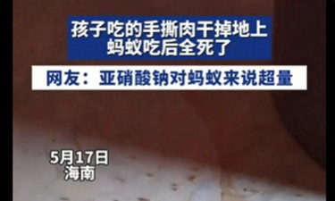 小孩子吃的手撕肉干碎渣掉地上，蚂蚁吃完短时间内集体死亡，原因是……