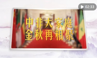 视频画报｜中非大家庭 金秋再相聚