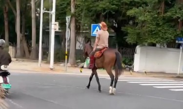 有人在海口街头“策马奔腾”，交警发话了→