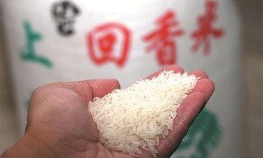 一粒好米的淬炼：陆回香大米的七重筛选