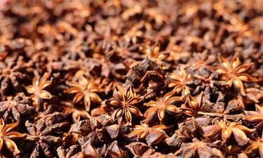 广西八角香飘世界！种植量占据全球80%，不仅畅销全国还远销海外