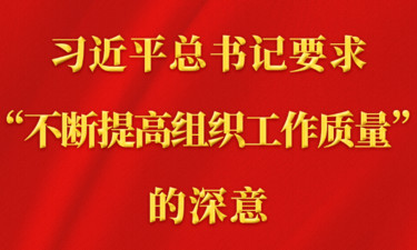 第一观察丨习近平总书记要求“不断提高组织工作质量”的深意