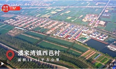 习近平湖北行丨蔬菜长廊向振兴——走进嘉鱼县潘家湾镇四邑村