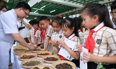 这堂课孩子们争着上！医校结对共建开启中医药文化端午沉浸式课堂