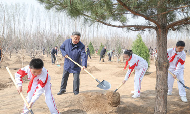 一见·再植绿，总书记期望深、思谋远