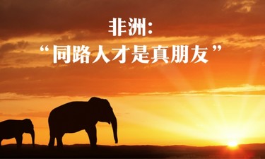 习近平用典｜中非那些相融相通的谚语典故
