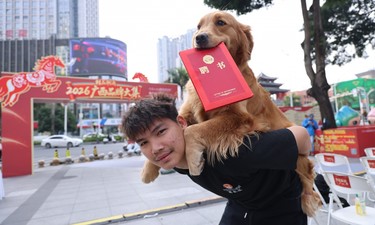 广西云乐宠频道正式上线！公开招募100名“萌宠主理人”