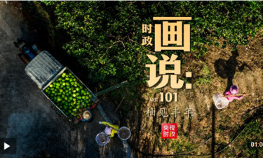 时政画说丨柚见丰年