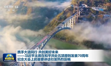 携手大道同行 共创美好未来——习近平主席在和平共处五项原则发表70周年纪念大会上的重要讲话引发热烈反响