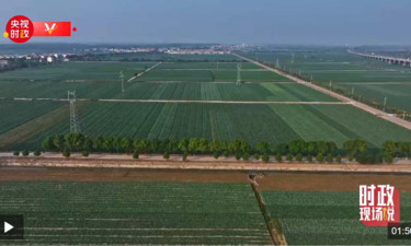 时政现场说丨蔬菜铺就振兴路 四邑催开幸福花