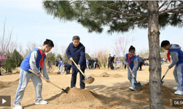 时政新闻眼丨参加首都义务植树活动，习近平为何强调这三个关键词？