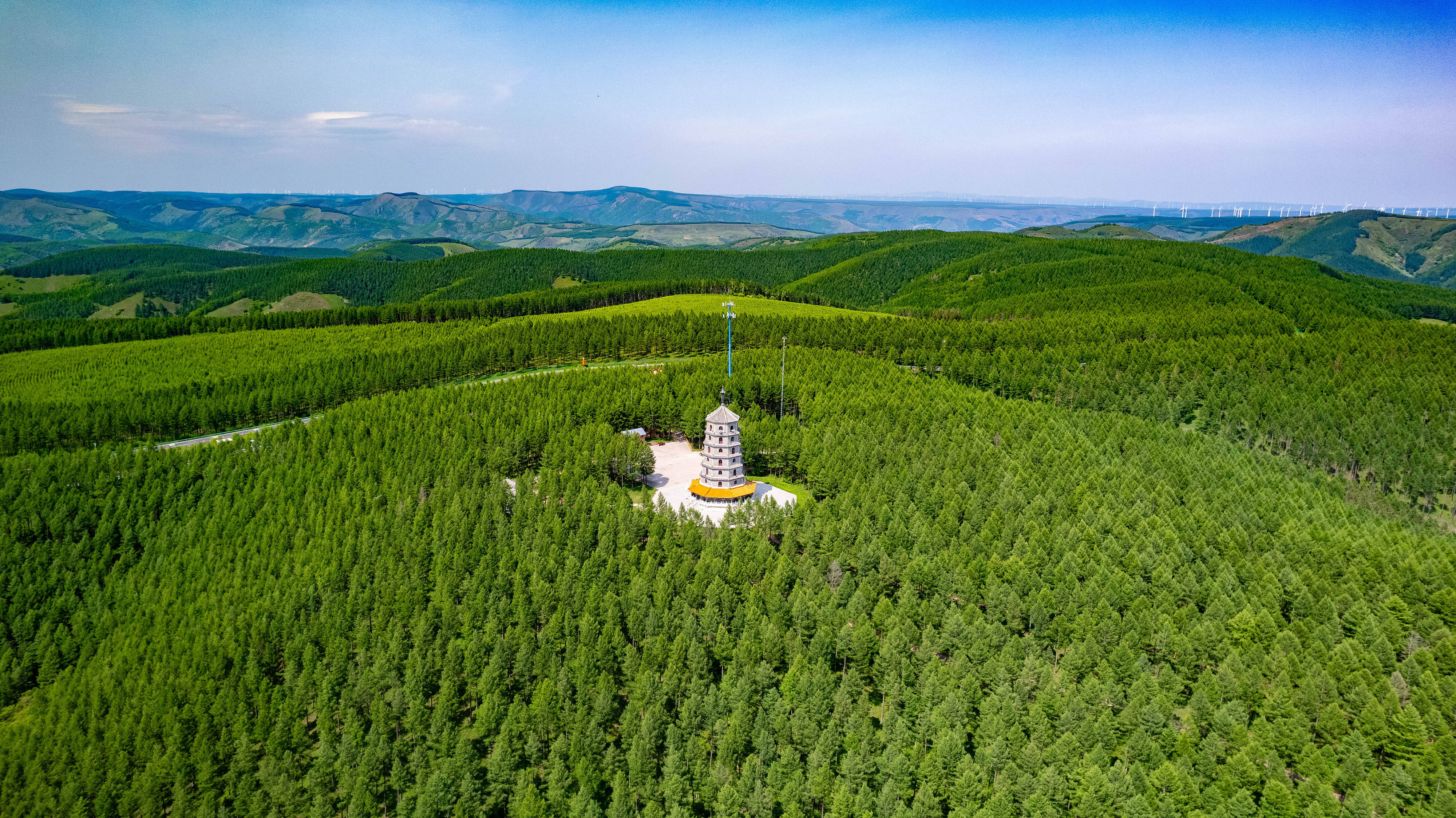 2025年6月11日，河北承德，塞罕壩林海浩渺。