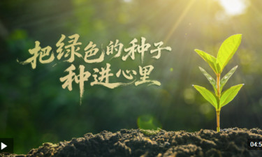 时政微视频丨把绿色的种子种进心里