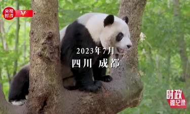 时政微纪录丨习近平的大运会时间