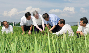 牢记总书记的嘱托 | 闪亮足迹 荆楚答卷