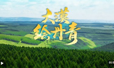 近观“两山”丨大漠绘丹青