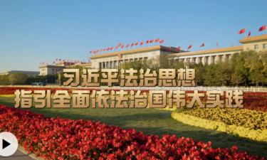 时习之丨习近平法治思想指引全面依法治国伟大实践