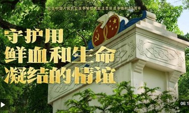 守护用鲜血和生命凝结的情谊