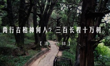 跟着总书记的考察足迹｜蜀道：见证中国人的奋进与执着