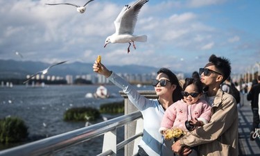 镜观·回响｜云南旅居热 文旅业态兴