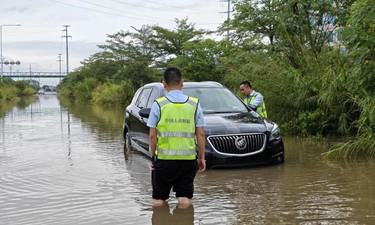 中国人寿财险广西分公司：金融活水润乡土 保险护航振兴路