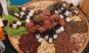 能看还能学！南宁这场中医大会“干货”满满