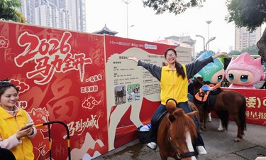 “萌”星空降！德保矮马登场2026广西品牌大集揽人气