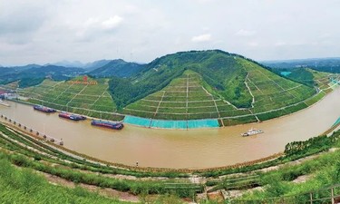 《求是》刊发陈刚署名文章：激活向海经济新引擎