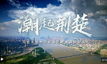 时政微纪录丨潮起荆楚——习近平总书记赴湖北考察调研纪实