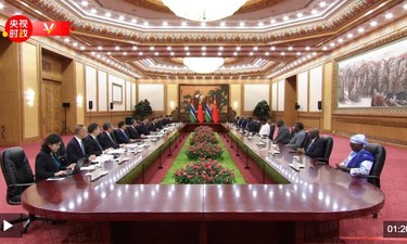 独家视频丨习近平会见冈比亚总统：中冈双方已经成为发展振兴道路上的好朋友 好伙伴