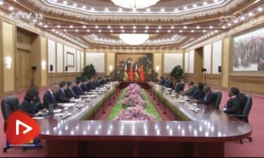 习近平同津巴布韦总统姆南加古瓦会谈