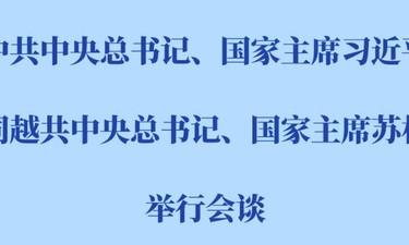 习近平同越共中央总书记、国家主席苏林会谈