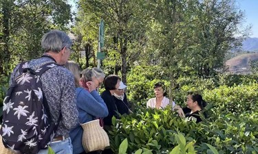 三年造访三次，百色这家茶企为何深受德国客商青睐？