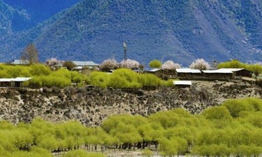 写在绿水青山间的答卷——党的十八大以来生态环境保护成效综述