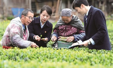 邮储银行广西区分行：兴农惠企助发展 一抹邮绿润城乡