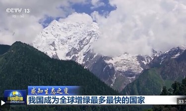 感知生态之变丨我国成为全球增绿最多最快的国家