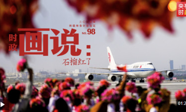 时政画说丨石榴红了