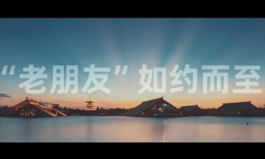 进博会｜开放·合作·共享