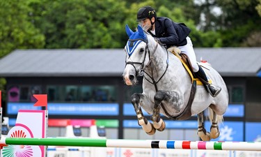 夺冠“黑马”，让马术走进大众视野丨马年说马·体育篇