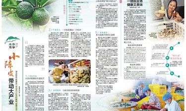 版面欣赏·陈皮篇