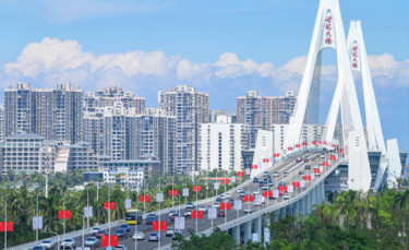 看图学习丨打造引领我国新时代对外开放的重要门户