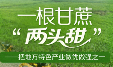 习近平总书记关切事｜一根甘蔗“两头甜”——把地方特色产业做优做强之一