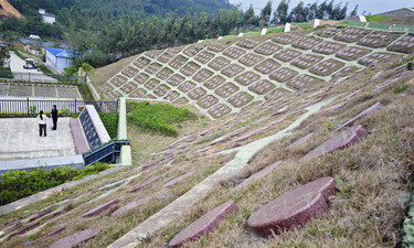结合本地民俗，增加人文关怀！广西探索生态殡葬新方式