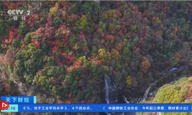 “秋日经济”活力满满 “赏秋+”催动文旅消费“热”力四射